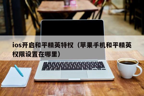 ios开启和平精英特权（苹果手机和平精英权限设置在哪里）