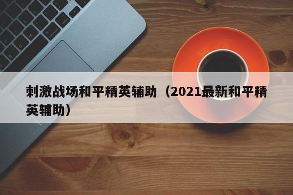 刺激战场和平精英辅助（2021最新和平精英辅助）