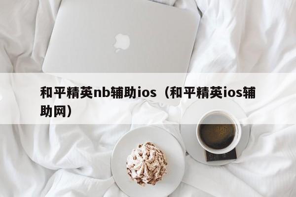 和平精英nb辅助ios（和平精英ios辅助网）