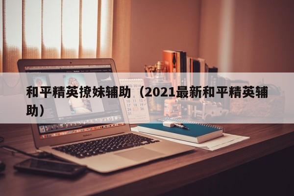 和平精英撩妹辅助（2021最新和平精英辅助）